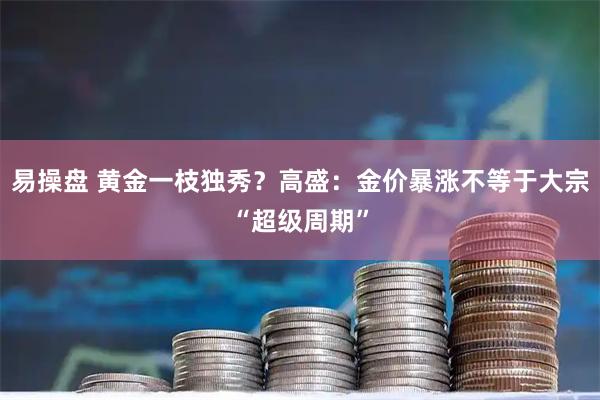 易操盘 黄金一枝独秀？高盛：金价暴涨不等于大宗“超级周期”