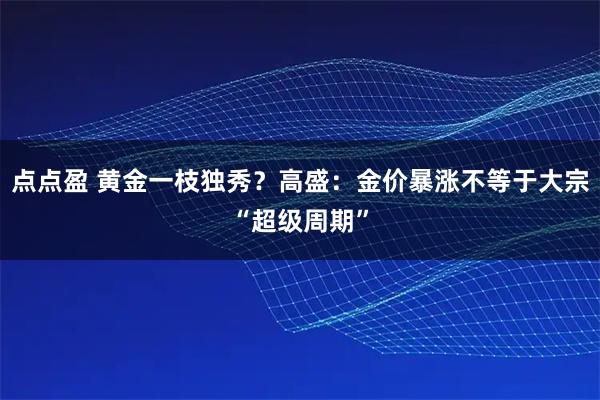 点点盈 黄金一枝独秀？高盛：金价暴涨不等于大宗“超级周期”