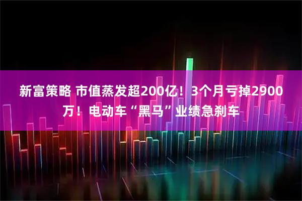 新富策略 市值蒸发超200亿！3个月亏掉2900万！电动车“黑马”业绩急刹车