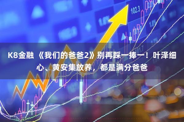 K8金融 《我们的爸爸2》别再踩一捧一！叶泽细心、黄安集放养，都是满分爸爸