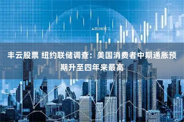 丰云股票 纽约联储调查:美国消费者中期通胀预期升至四年来最高