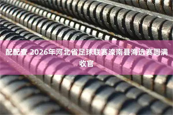 配配查 2026年河北省足球联赛滦南县海选赛圆满收官