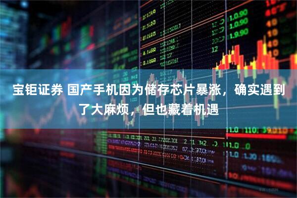 宝钜证券 国产手机因为储存芯片暴涨，确实遇到了大麻烦，但也藏着机遇