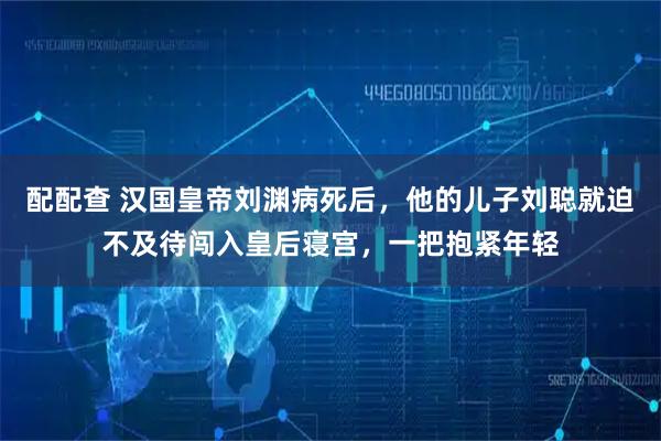 配配查 汉国皇帝刘渊病死后，他的儿子刘聪就迫不及待闯入皇后寝宫，一把抱紧年轻