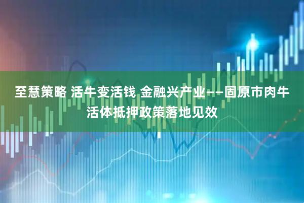 至慧策略 活牛变活钱 金融兴产业——固原市肉牛活体抵押政策落地见效