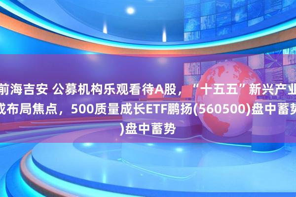 前海吉安 公募机构乐观看待A股,“十五五”新兴产业成布局焦点,500质量成长ETF鹏扬(560500)盘中蓄势