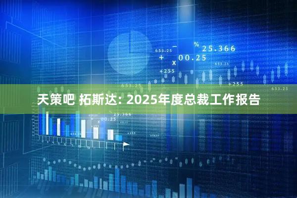 天策吧 拓斯达: 2025年度总裁工作报告