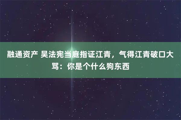 融通资产 吴法宪当庭指证江青，气得江青破口大骂：你是个什么狗东西