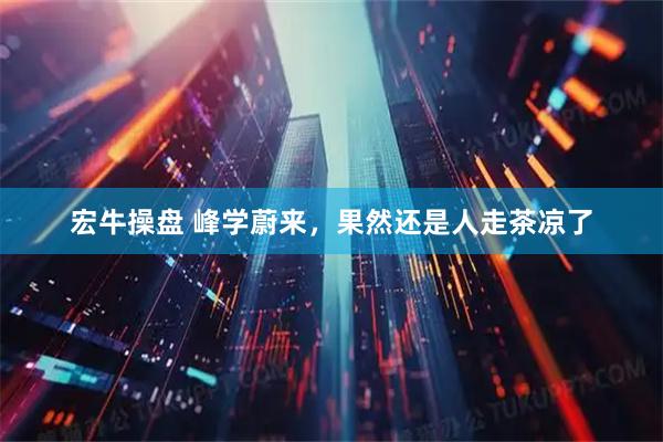 宏牛操盘 峰学蔚来，果然还是人走茶凉了