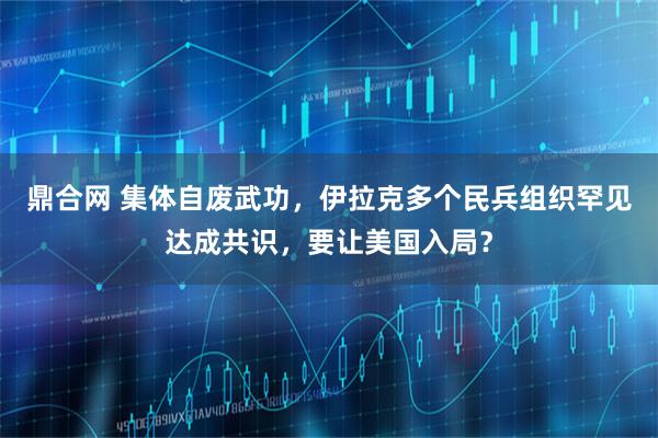 鼎合网 集体自废武功，伊拉克多个民兵组织罕见达成共识，要让美国入局？