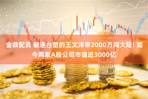 金鼎配资 被逐台塑的王文洋带2000万闯大陆! 如今两家A股公司市值近3000亿